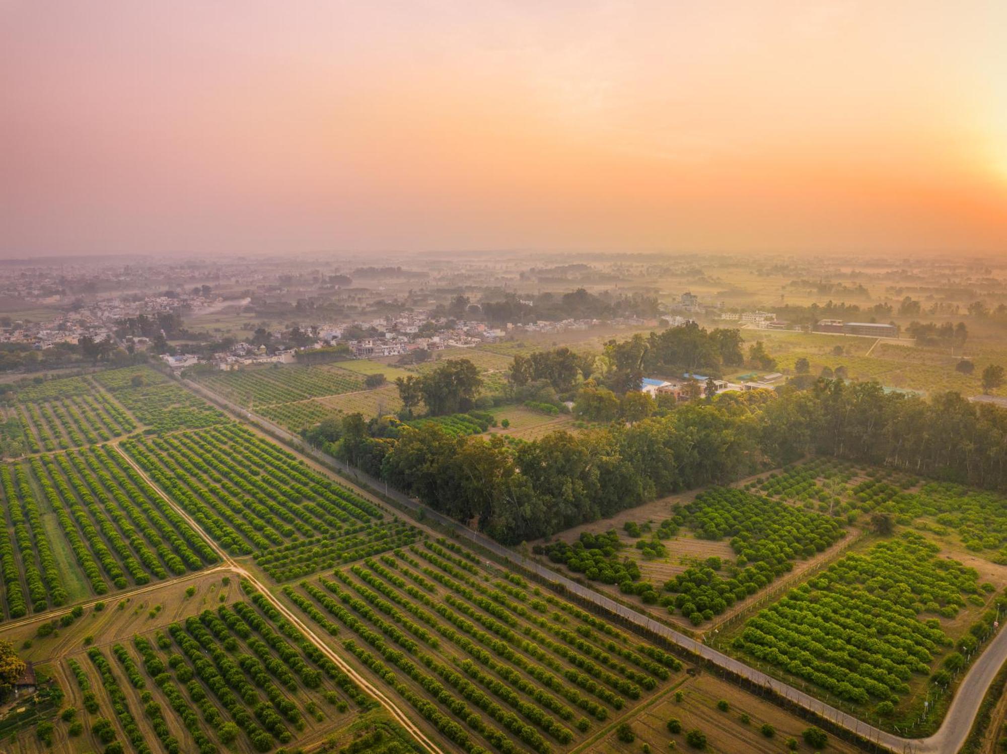 Citrus County, Hoshiarpur, Ama Stays & Trails Kültér fotó